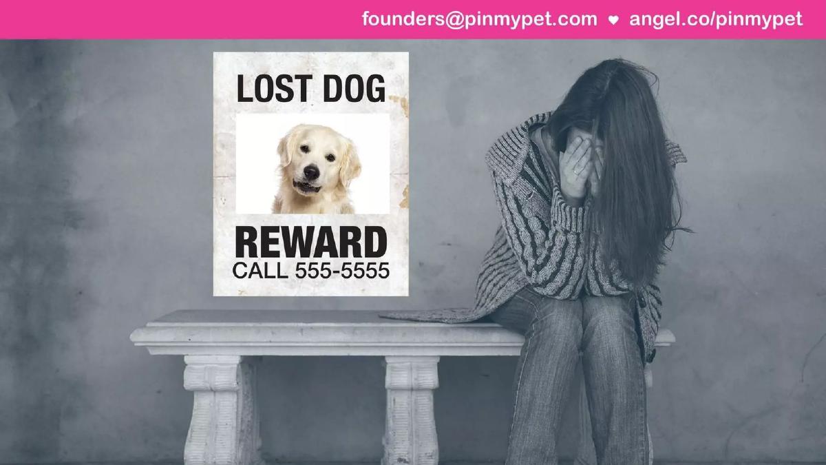 Pinmypet pitch deck slide 4 of 16
