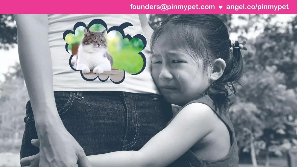 Pinmypet pitch deck slide 5 of 16