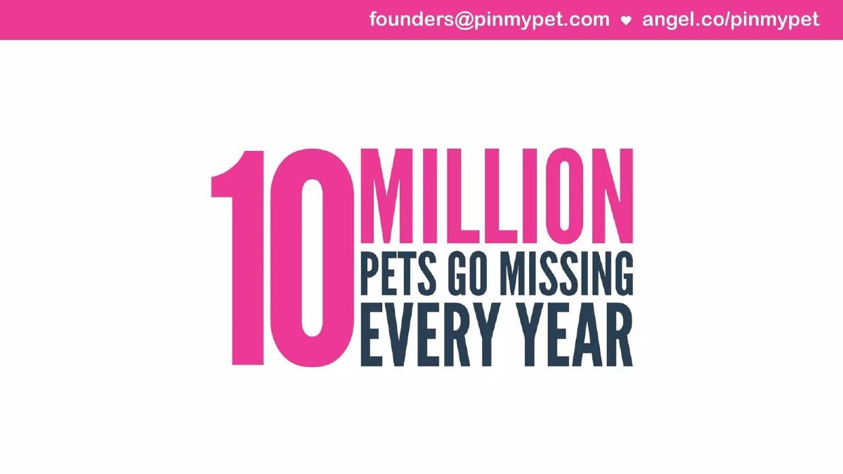 Pinmypet pitch deck slide 6 of 16