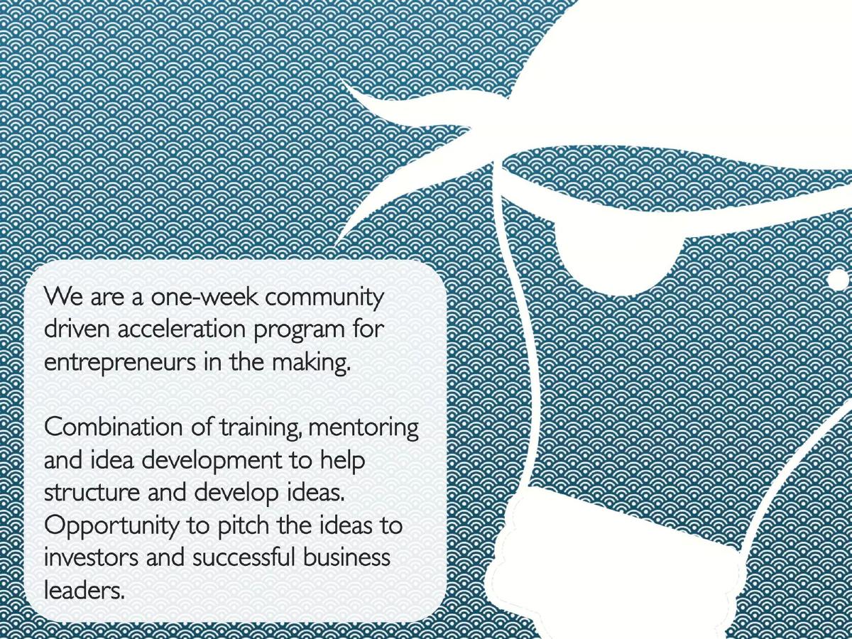 Startup Pirates pitch deck slide 4 of 10