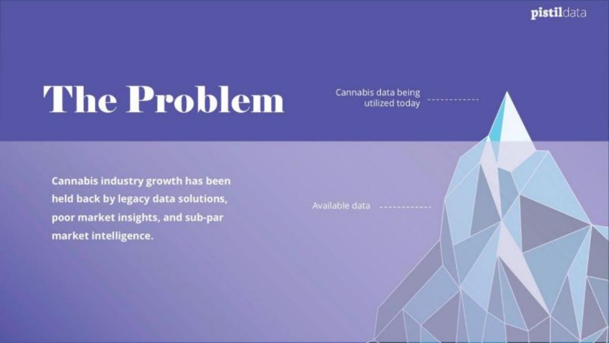 Pistil Data pitch deck slide 2 of 15