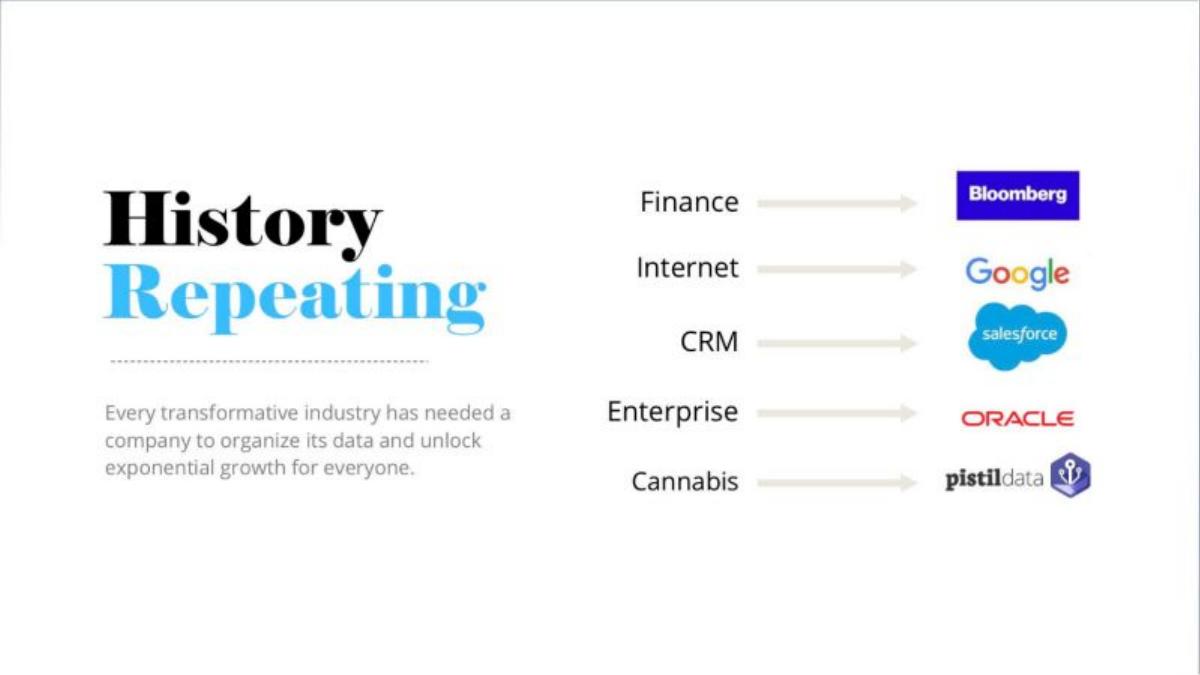 Pistil Data pitch deck slide 3 of 15