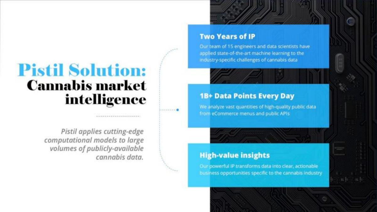 Pistil Data pitch deck slide 4 of 15