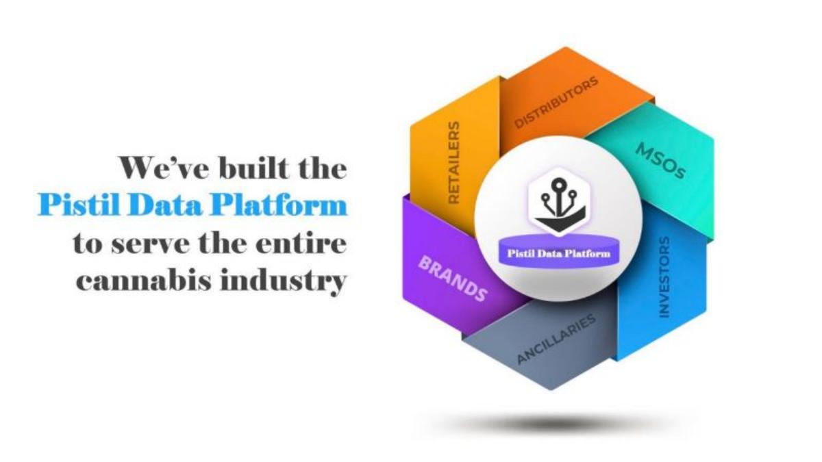 Pistil Data pitch deck slide 6 of 15