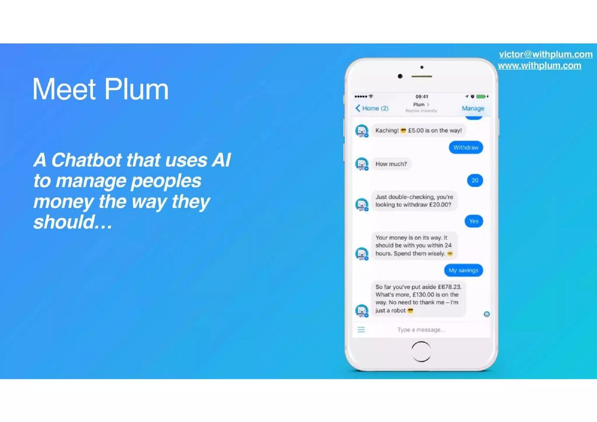 Plum pitch deck slide 4 of 9