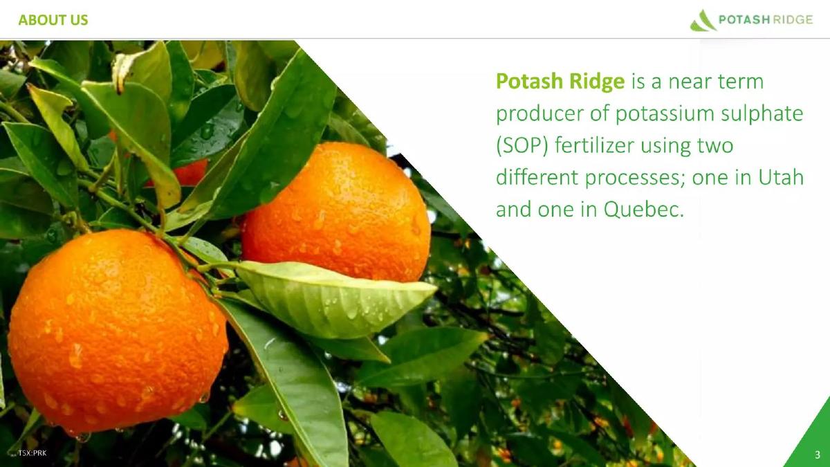 Potash Ridge pitch deck slide 3 of 26