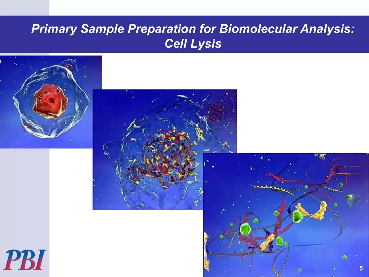 Pressure BioSciences, Inc. pitch deck slide 5 of 21