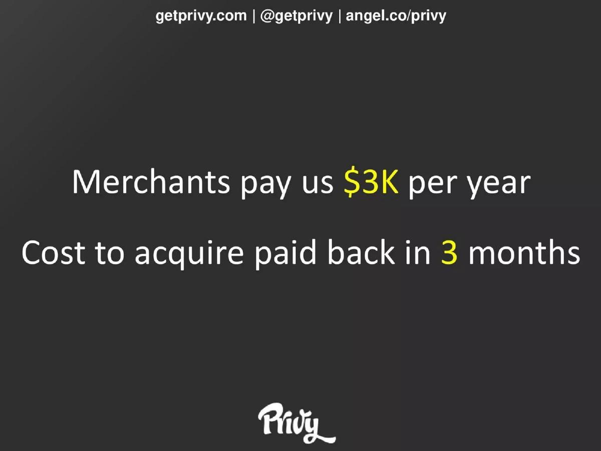 Privy pitch deck slide 4 of 13