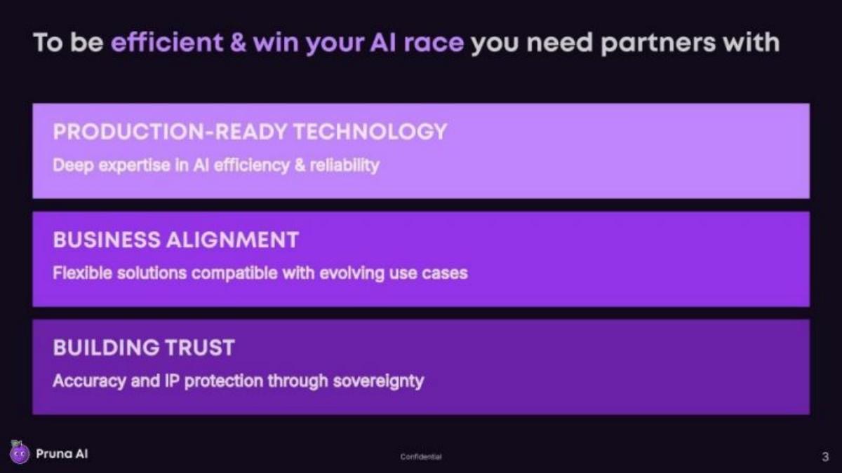 Pruna AI pitch deck slide 3 of 13