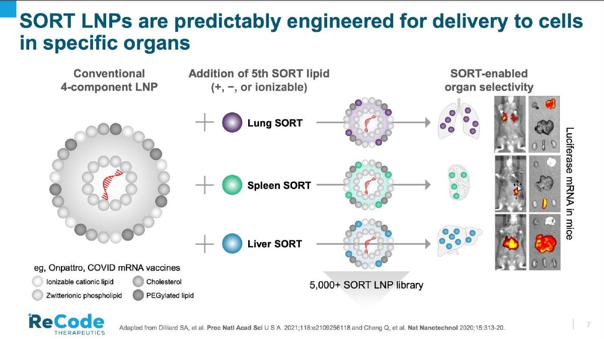 ReCode Therapeutics pitch deck slide 7 of 13