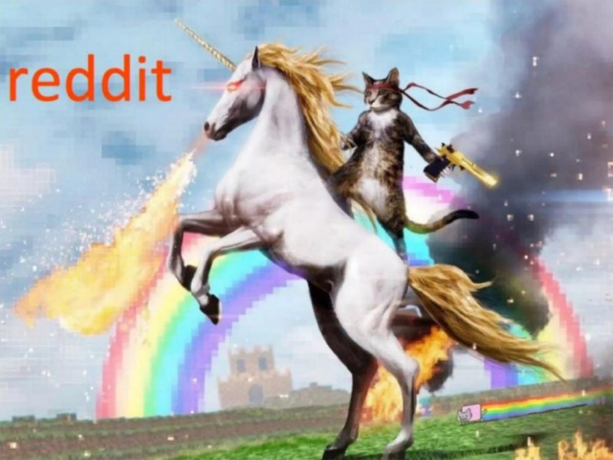 Reddit pitch deck slide 1 of 15