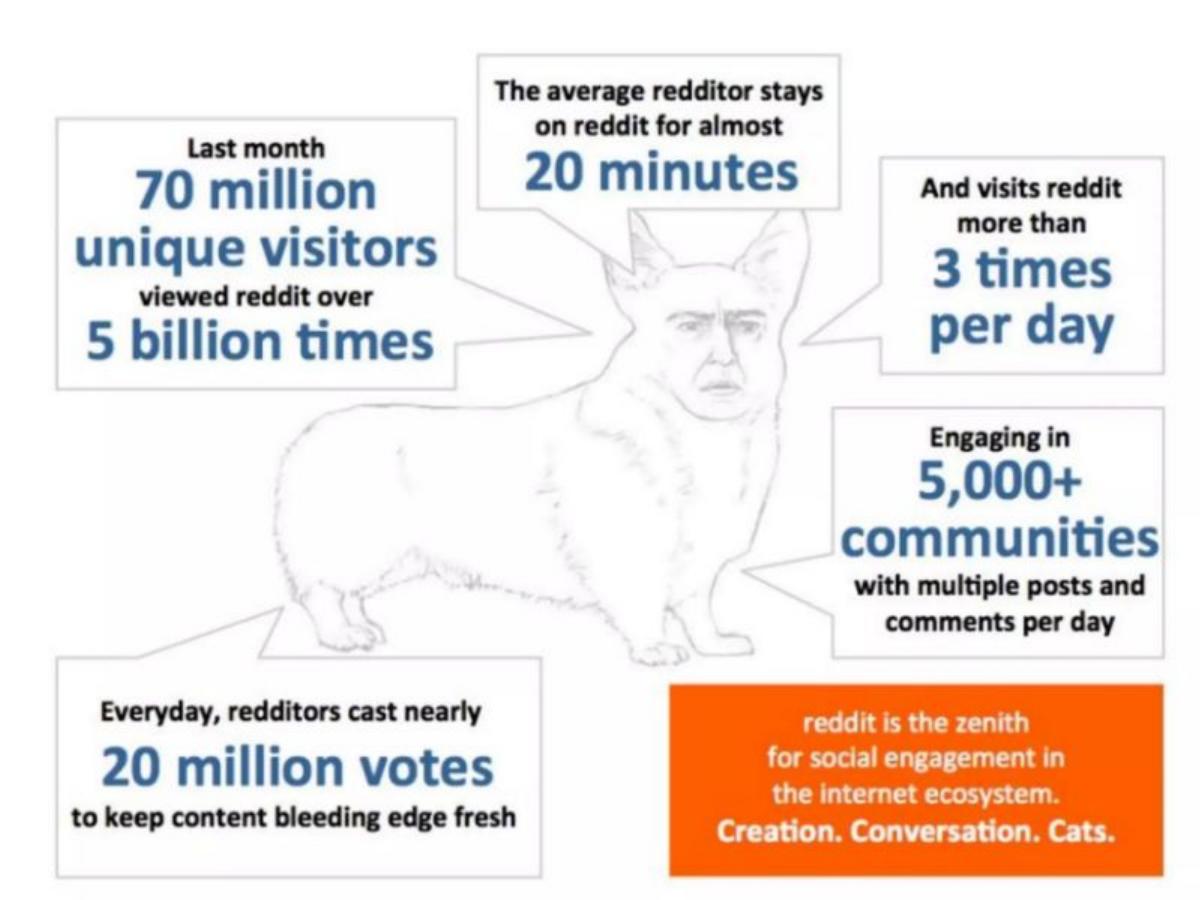 Reddit pitch deck slide 4 of 15
