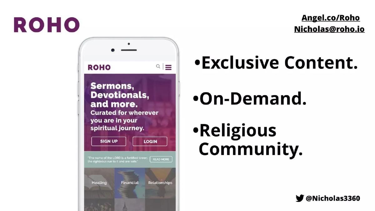 ROHO pitch deck slide 6 of 8