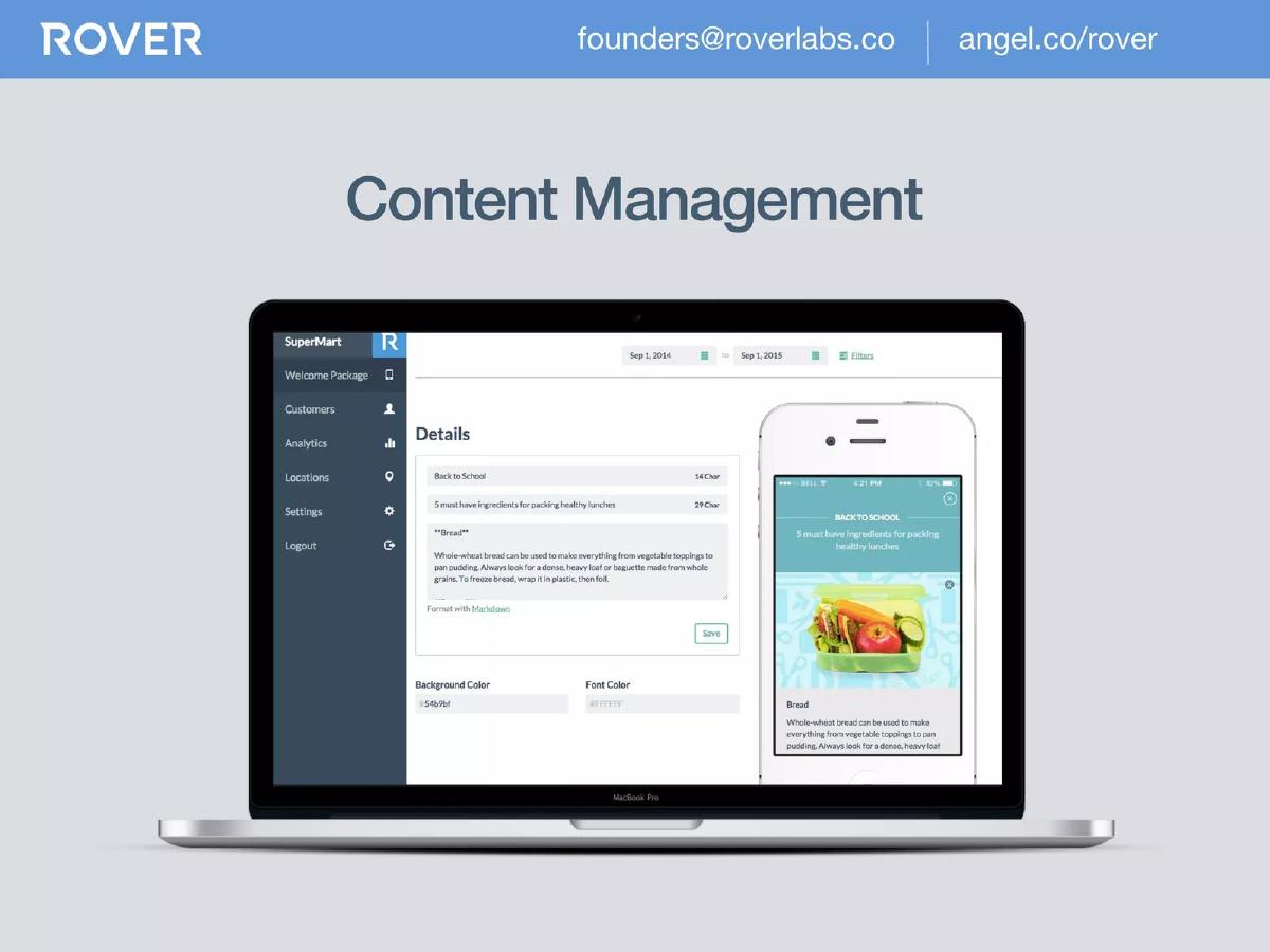 Rover pitch deck slide 6 of 10