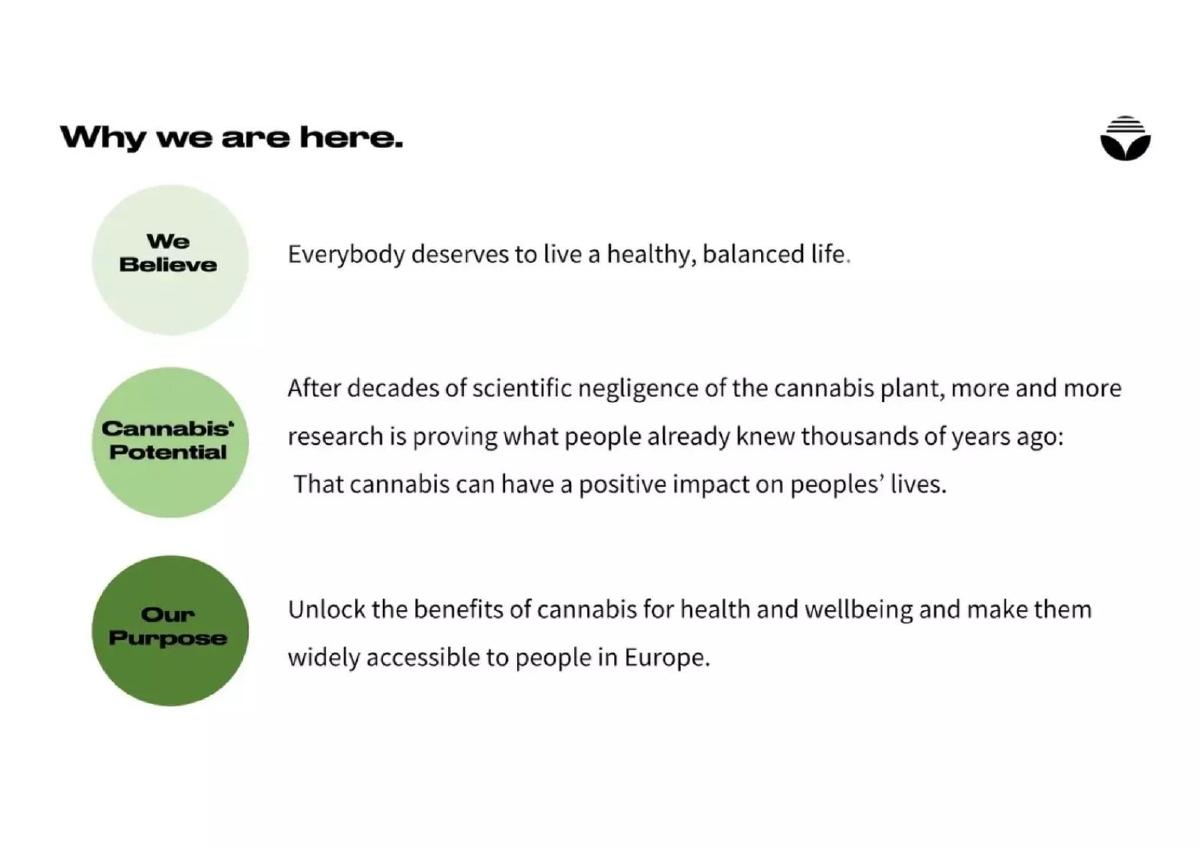 Sanity Group pitch deck slide 3 of 13