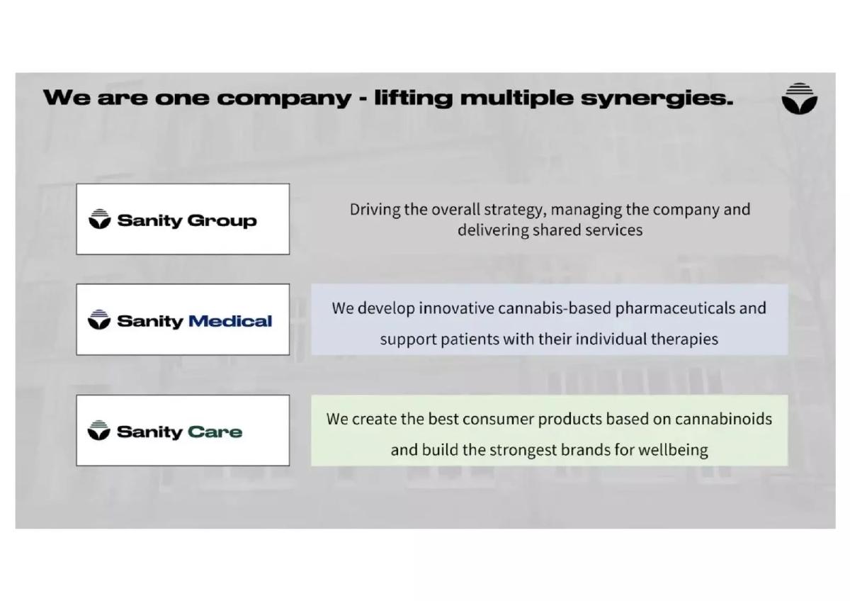 Sanity Group pitch deck slide 4 of 13