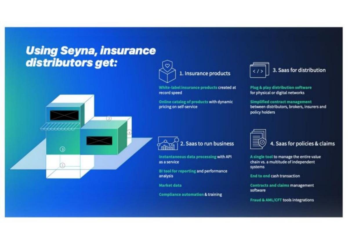 Seyna pitch deck slide 3 of 9