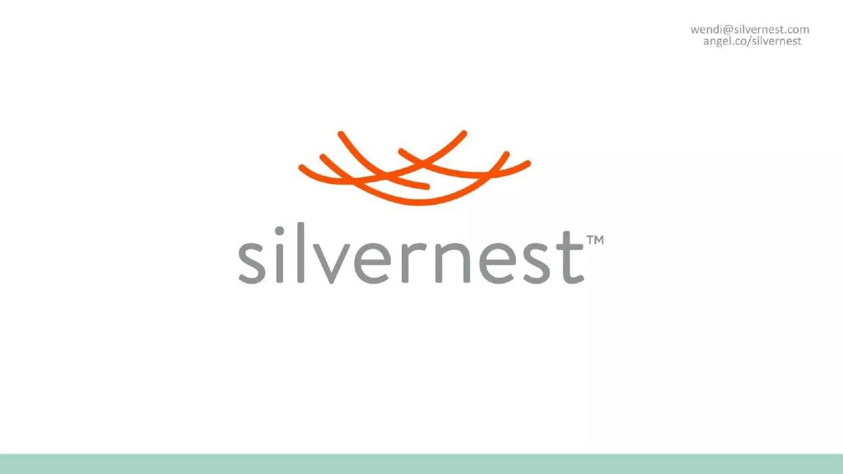 Silvernest pitch deck slide 1 of 8