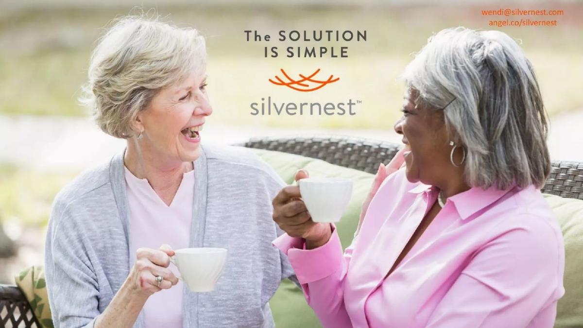Silvernest pitch deck slide 3 of 8