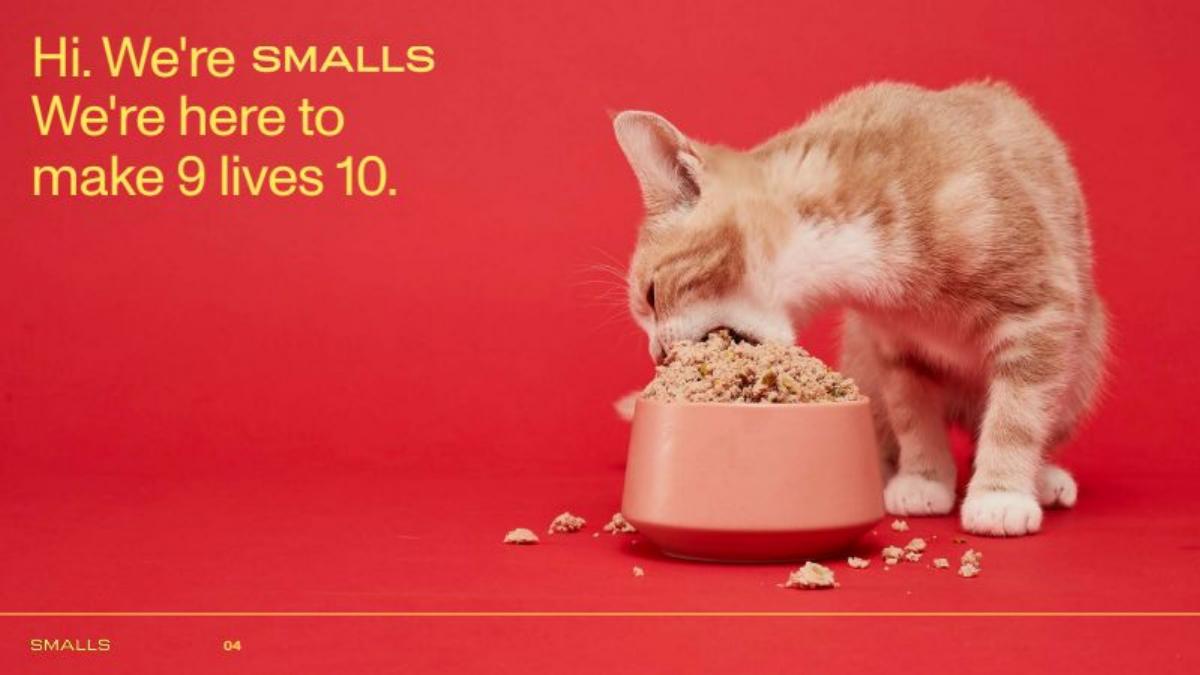 Smalls pitch deck slide 3 of 20