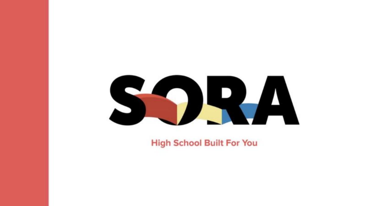 Sora pitch deck slide 1 of 17