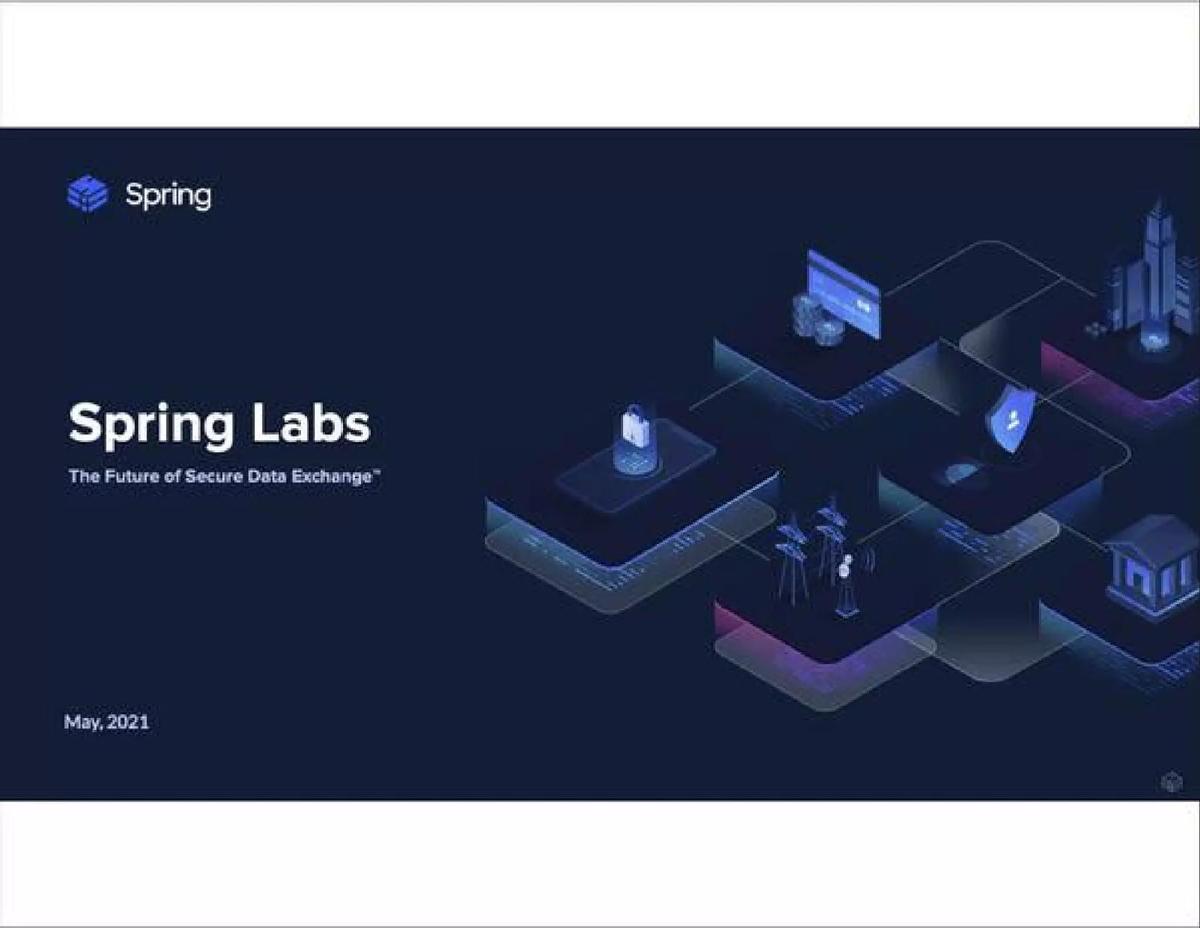 Spring Labs pitch deck slide 1 of 10