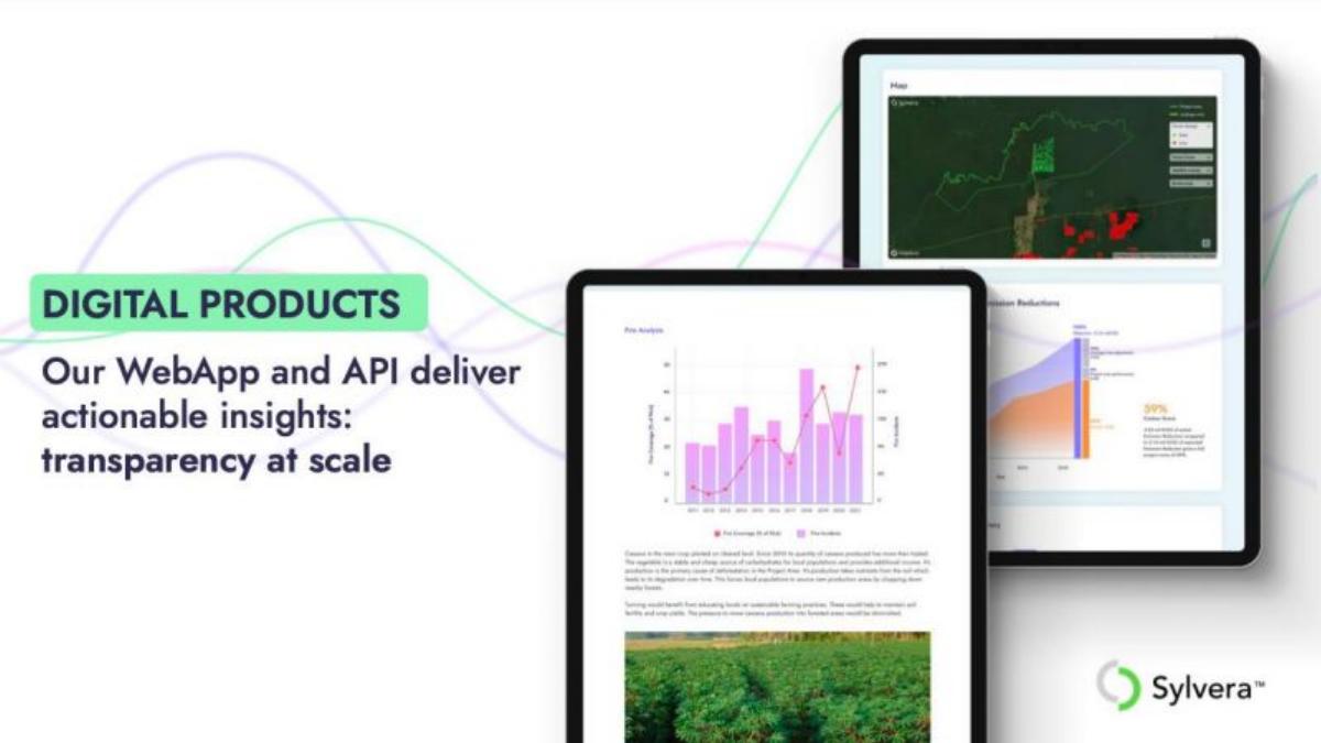 Sylvera pitch deck slide 6 of 8