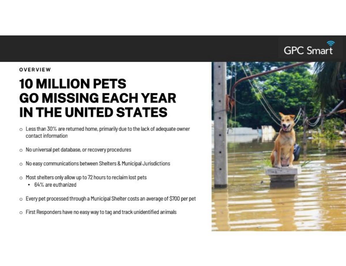 Syneroid Technologies pitch deck slide 2 of 13