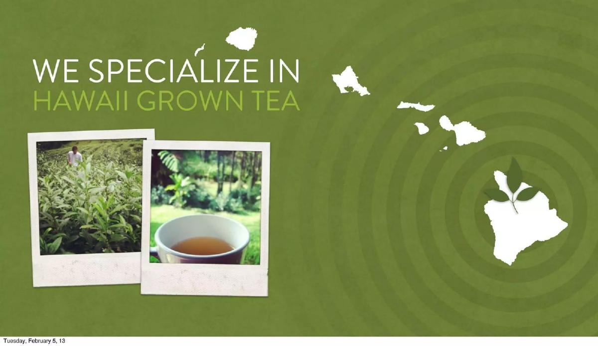 Tealet pitch deck slide 5 of 16