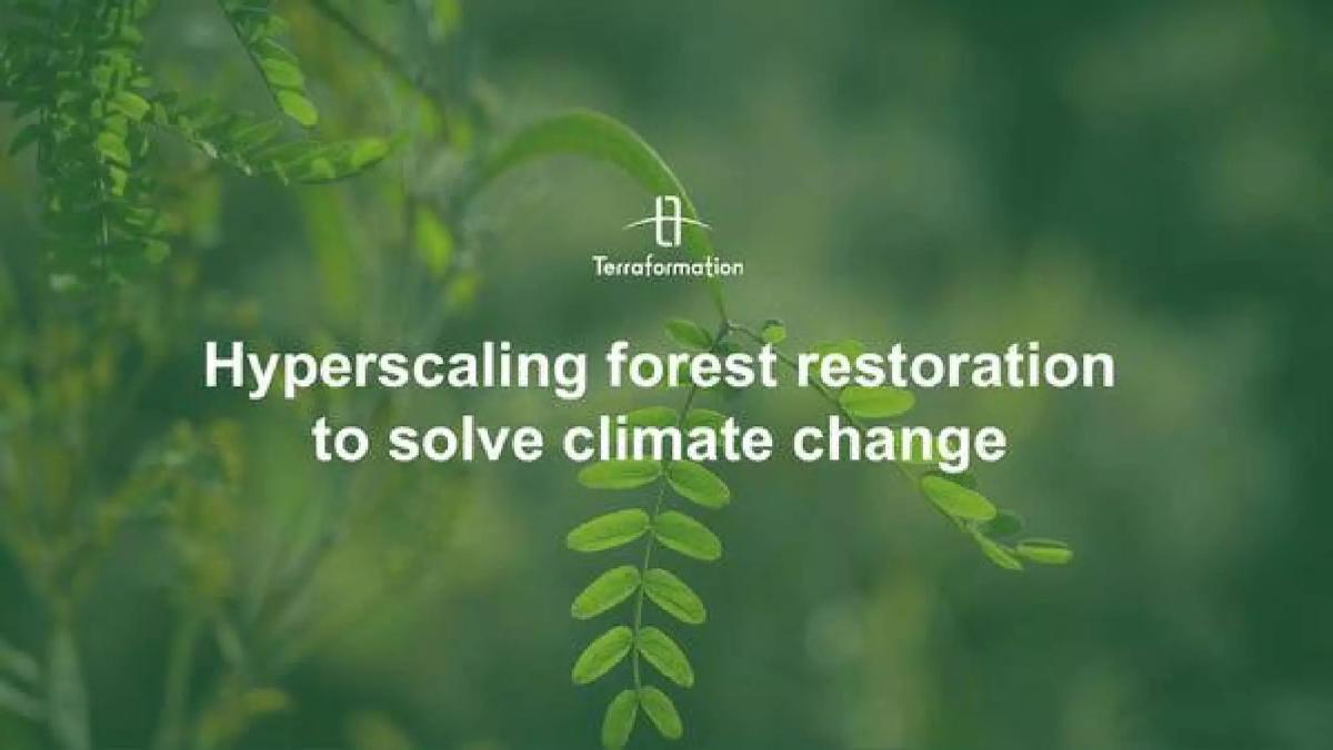 Terraformation pitch deck slide 1 of 10