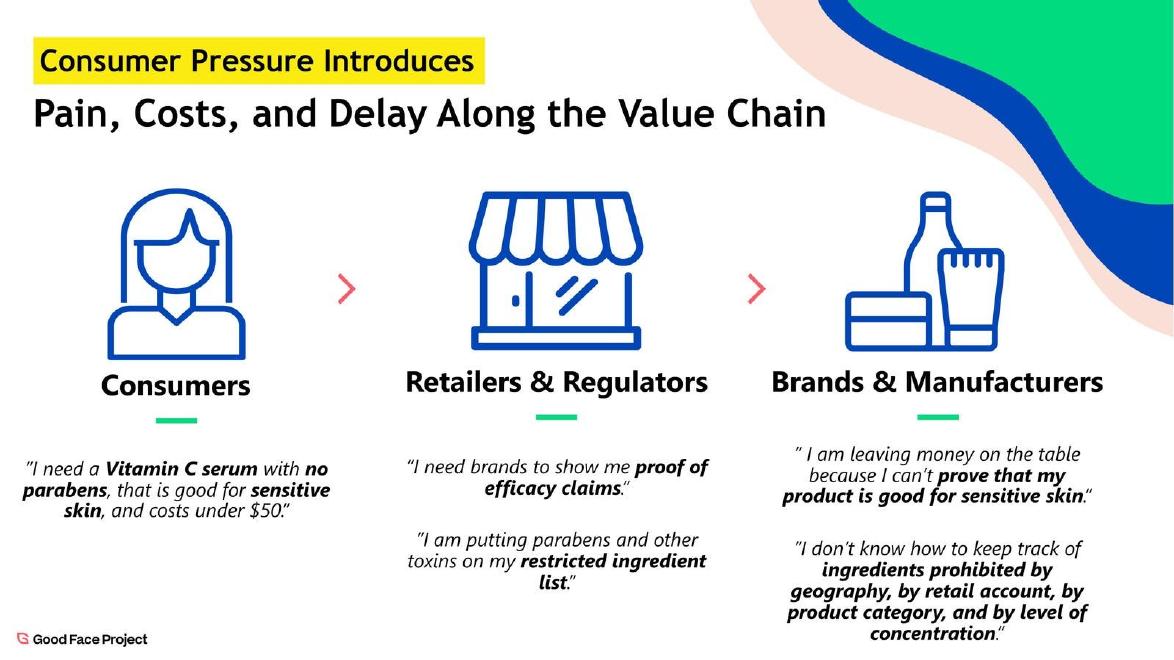 The Good Face Project pitch deck Value chain slide slide 4