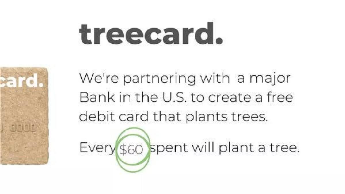 Treecard pitch deck slide 5 of 12