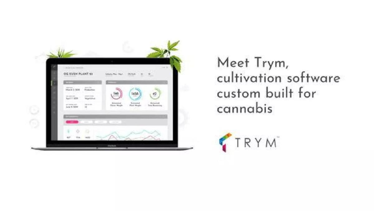Trym pitch deck slide 3 of 15