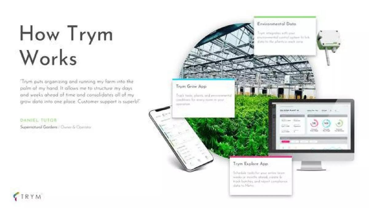Trym pitch deck slide 5 of 15