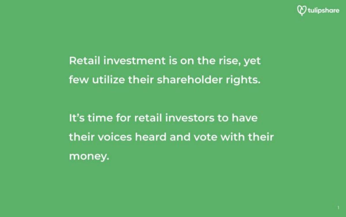 Tulipshare pitch deck slide 2 of 14