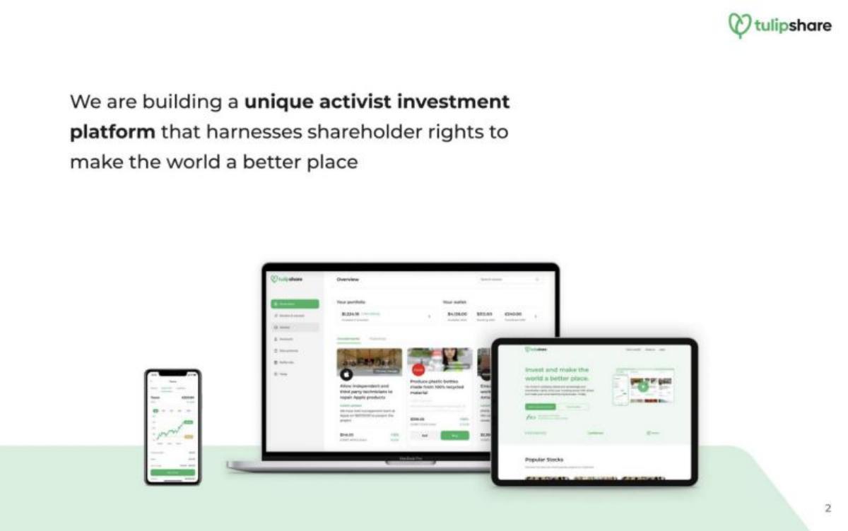 Tulipshare pitch deck slide 3 of 14