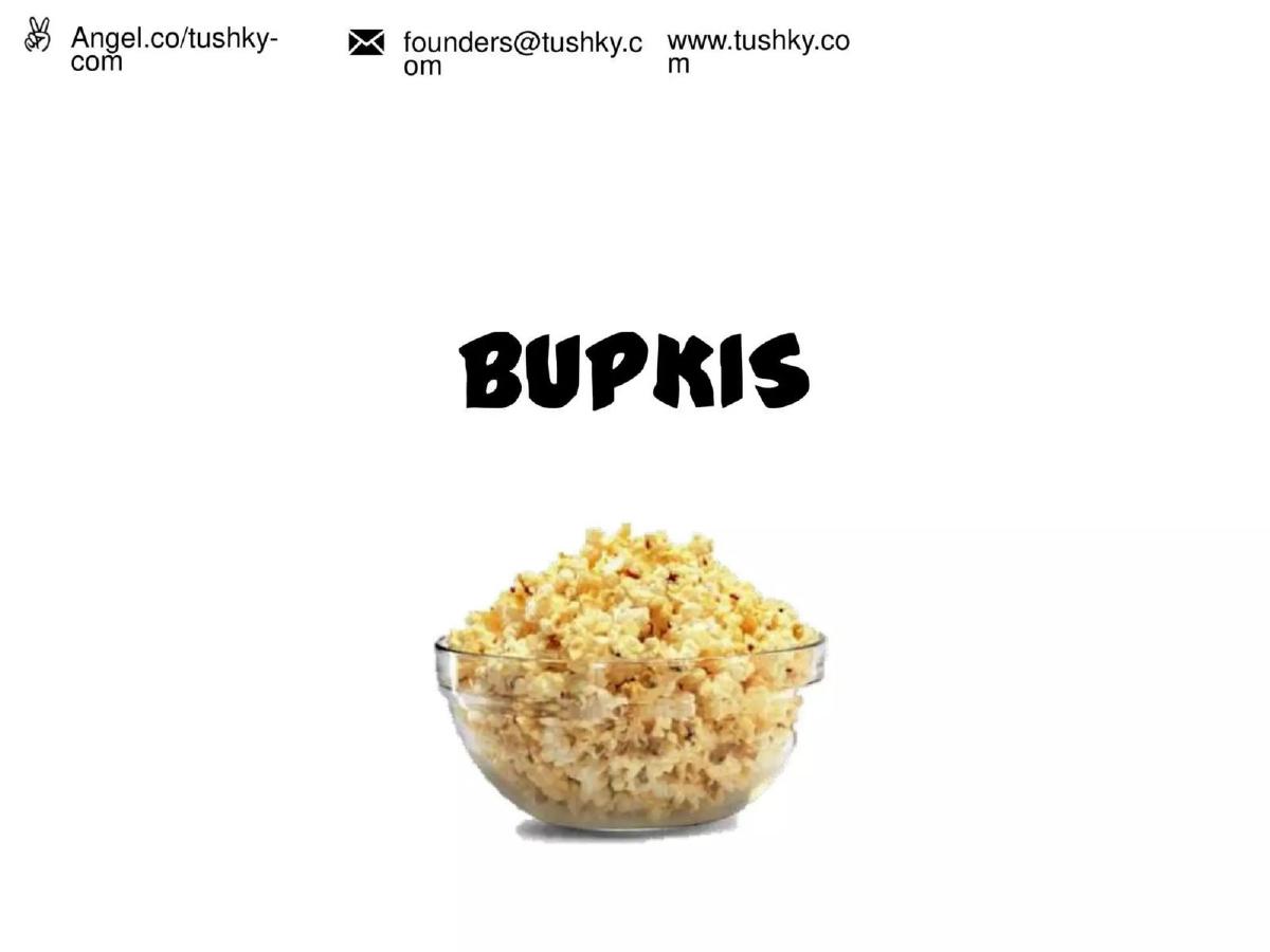 Tushky pitch deck slide 4 of 18