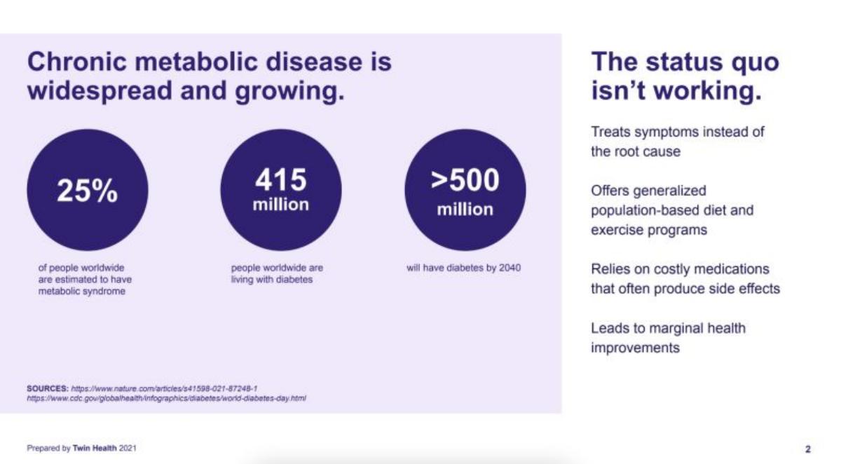 Twin Health pitch deck slide 2 of 15