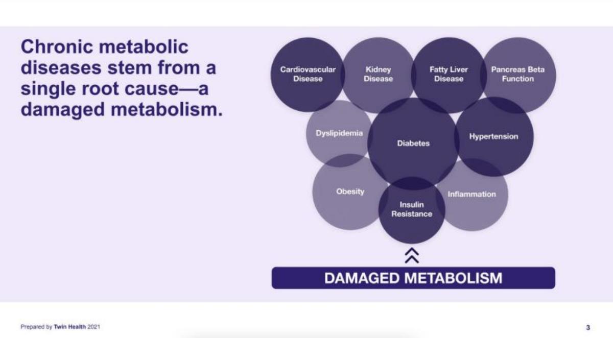 Twin Health pitch deck slide 3 of 15