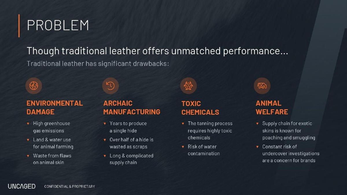 Uncaged Innovations pitch deck slide 3 of 12