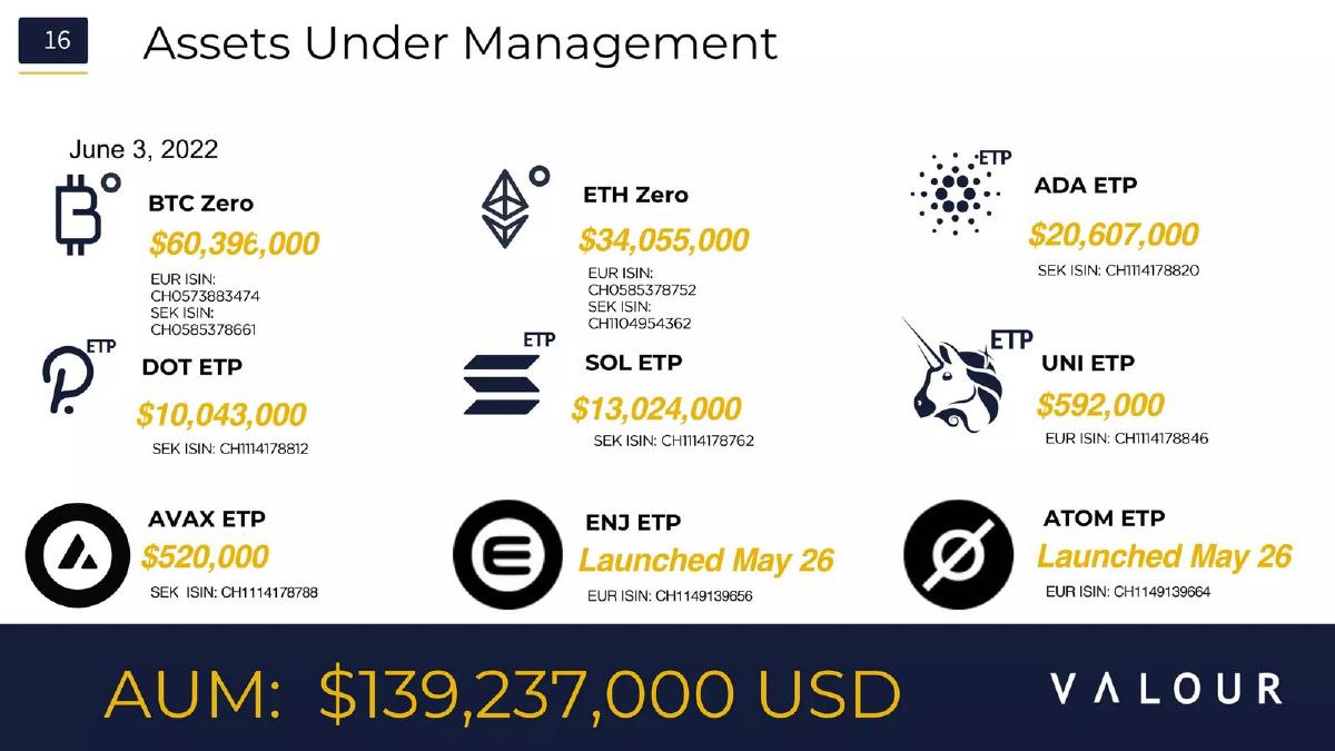 Valour pitch deck slide 16 of 25
