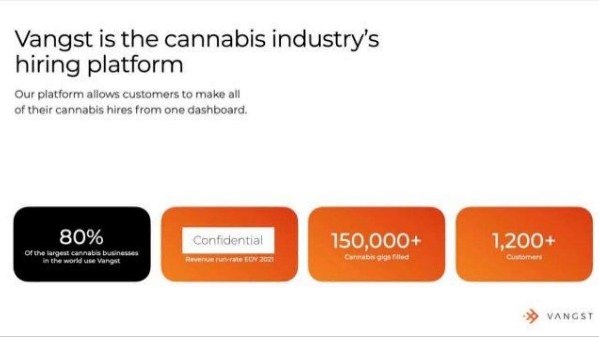 Vangst pitch deck slide 3 of 13
