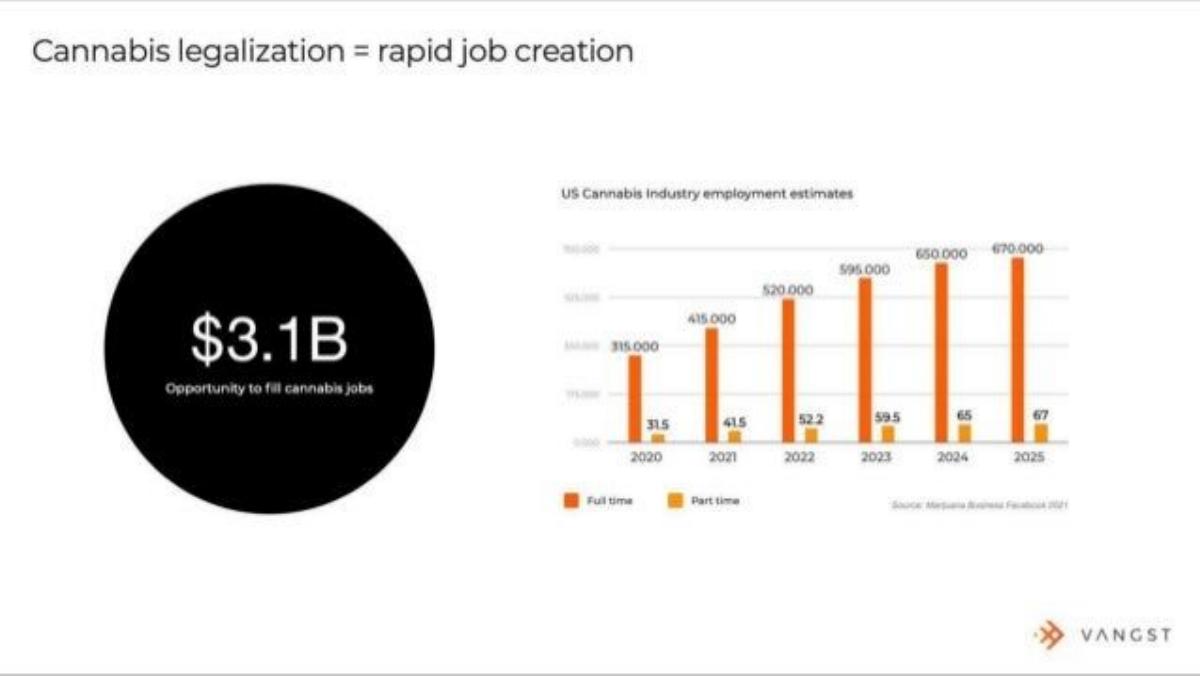 Vangst pitch deck slide 4 of 13