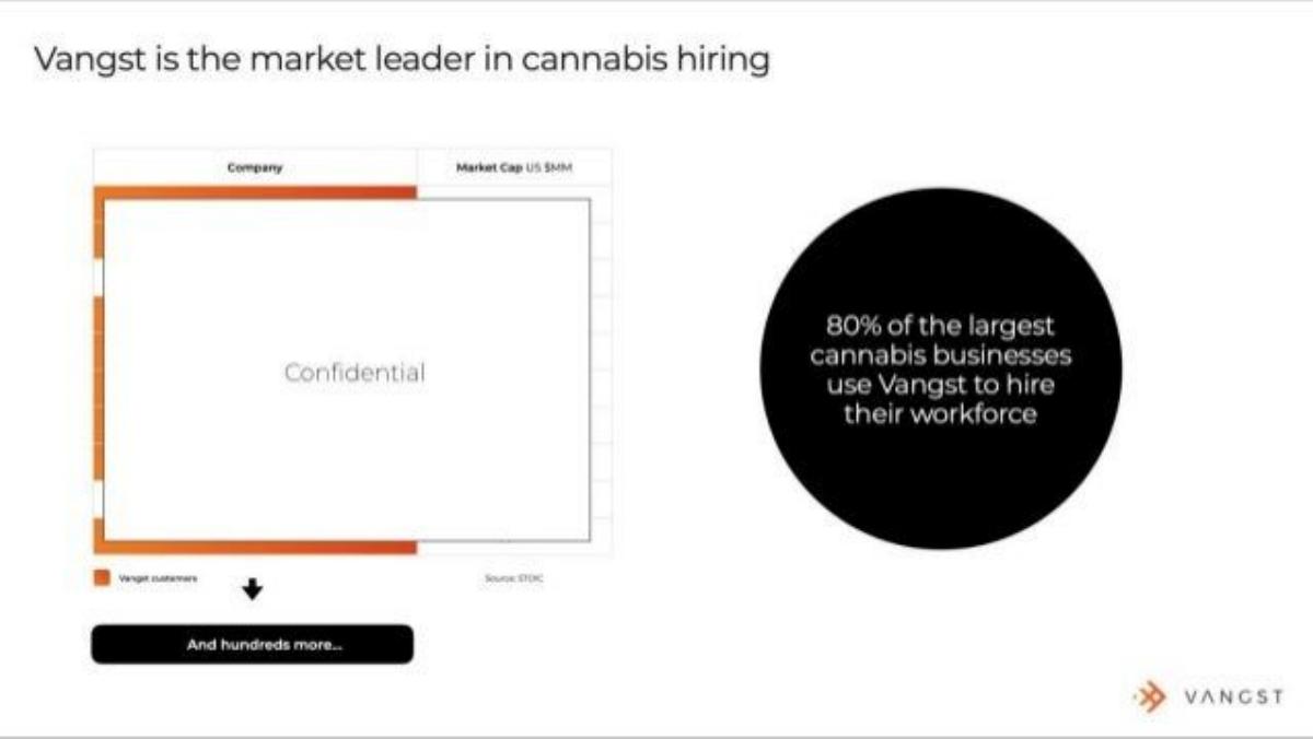 Vangst pitch deck slide 5 of 13
