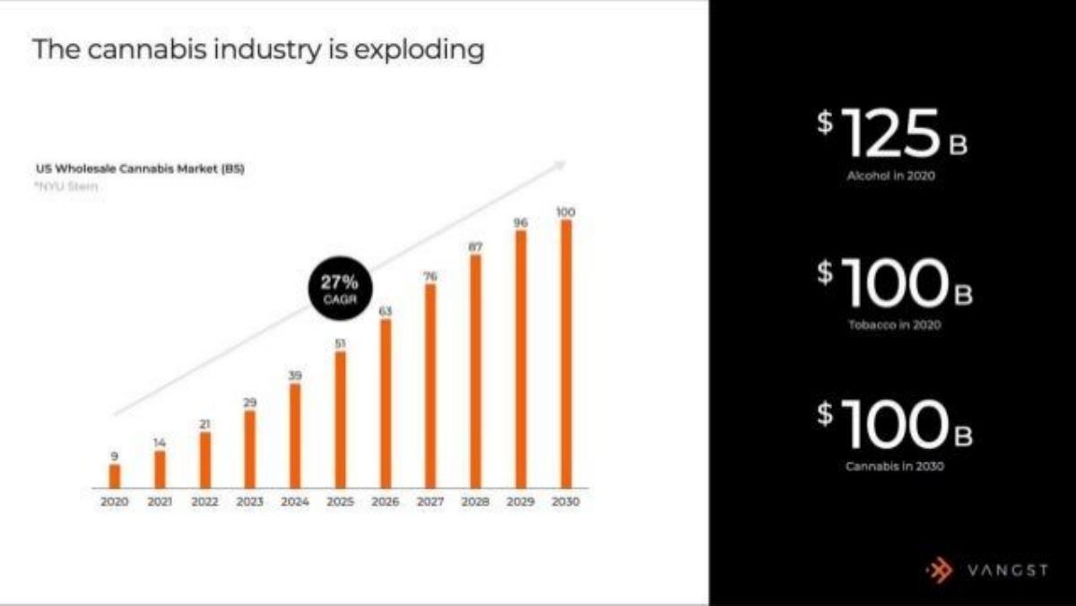 Vangst pitch deck slide 6 of 13