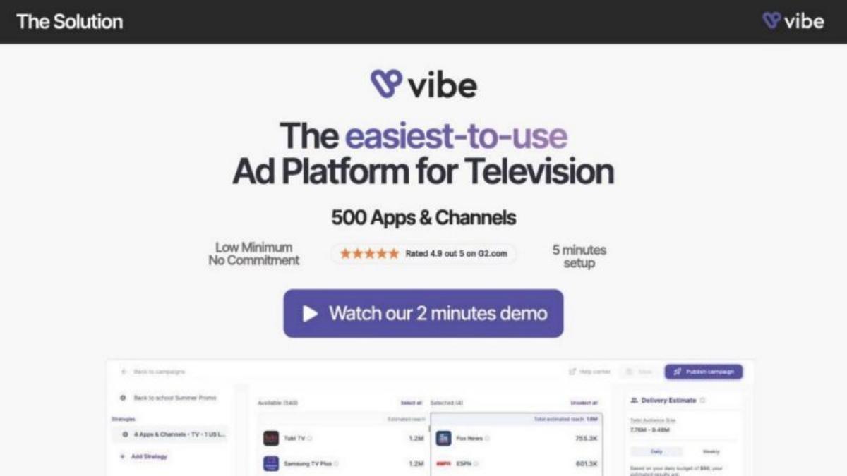 Vibe pitch deck slide 6 of 13