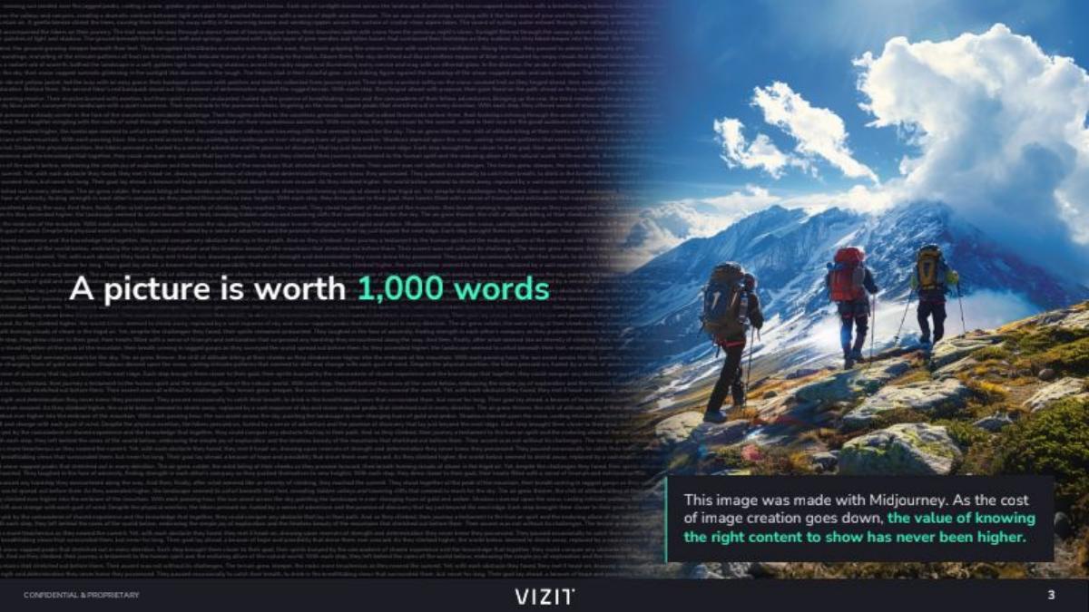 Vizit pitch deck slide 3 of 19