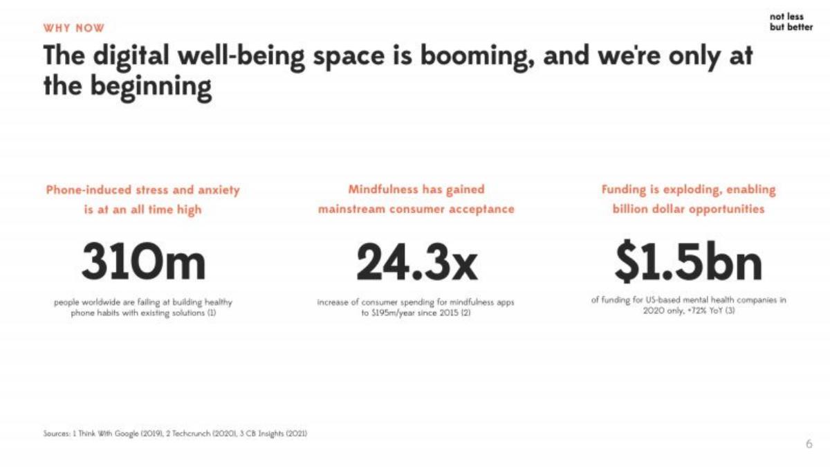 Wellspent (formerly not less but better) pitch deck slide 6 of 13