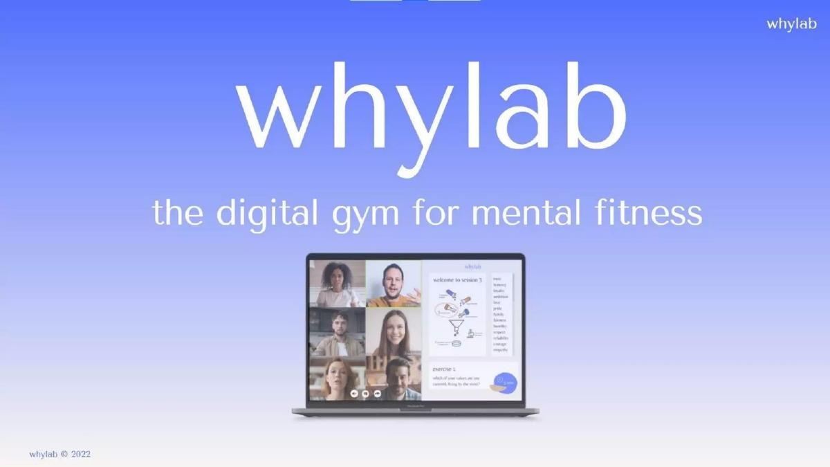 Whylab pitch deck slide 1 of 12