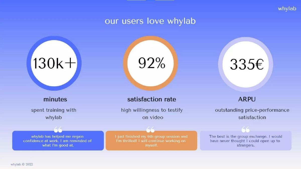 Whylab pitch deck slide 6 of 12